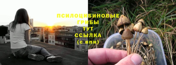 кристаллы Богданович