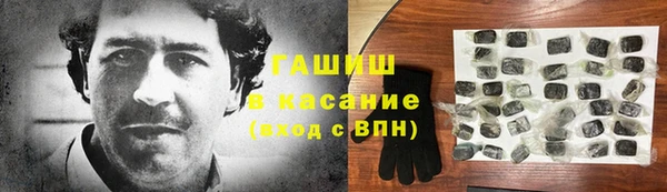 молекула духа Богородицк