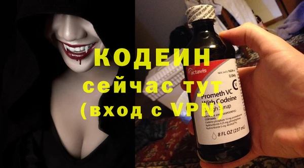 мдпв Богородск