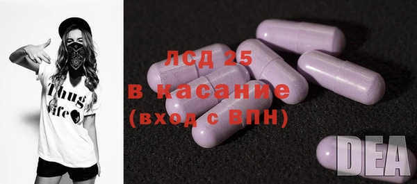 молекула духа Богородицк