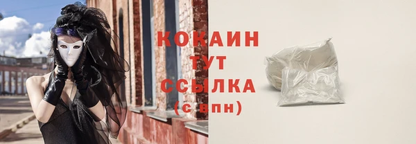 молекула духа Богородицк