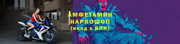 молекула духа Богородицк