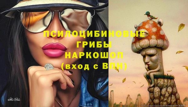 мдпв Богородск