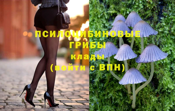 молекула духа Богородицк