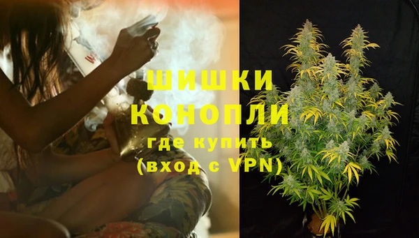 мдпв Богородск