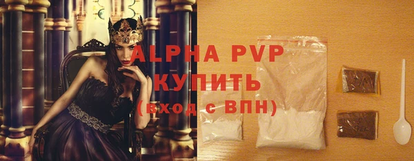 молекула духа Богородицк