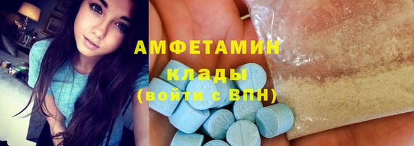 мдпв Богородск
