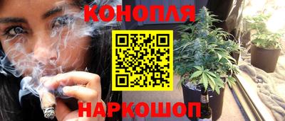 дмт Малгобек