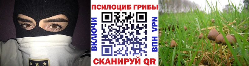 Псилоцибиновые грибы ЛСД Воркута